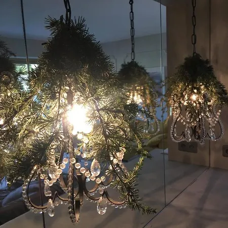 Lejlighed Borromees Cannes