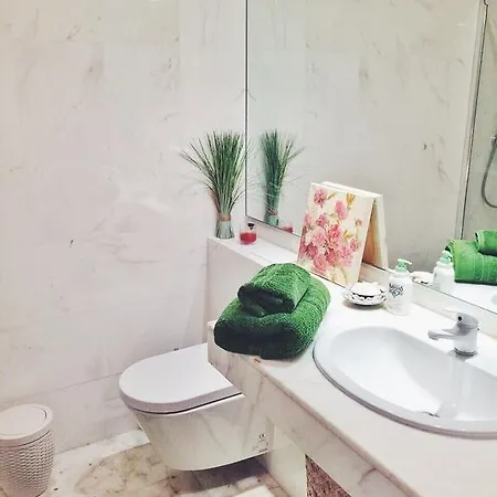 Apartment Borromees Cannes