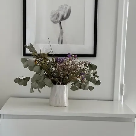 Borromees * カンヌ